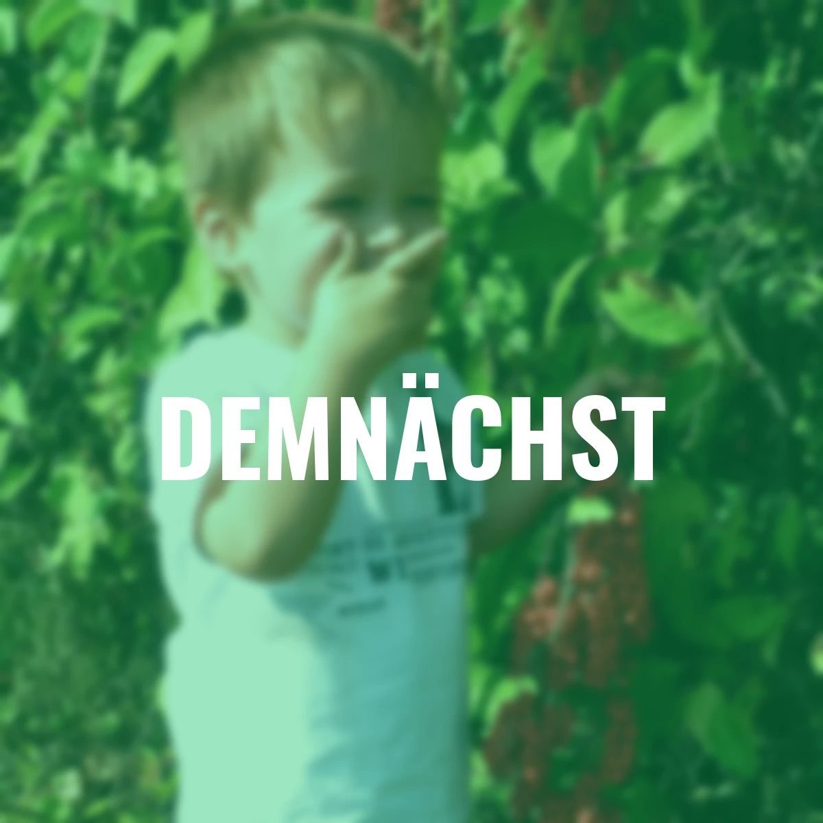 Vitalbeere® Wu-Wei-Zi