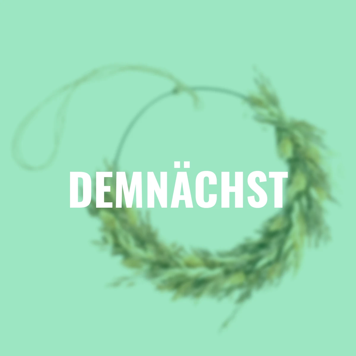 Trockenblumenring Carina, 40 cm