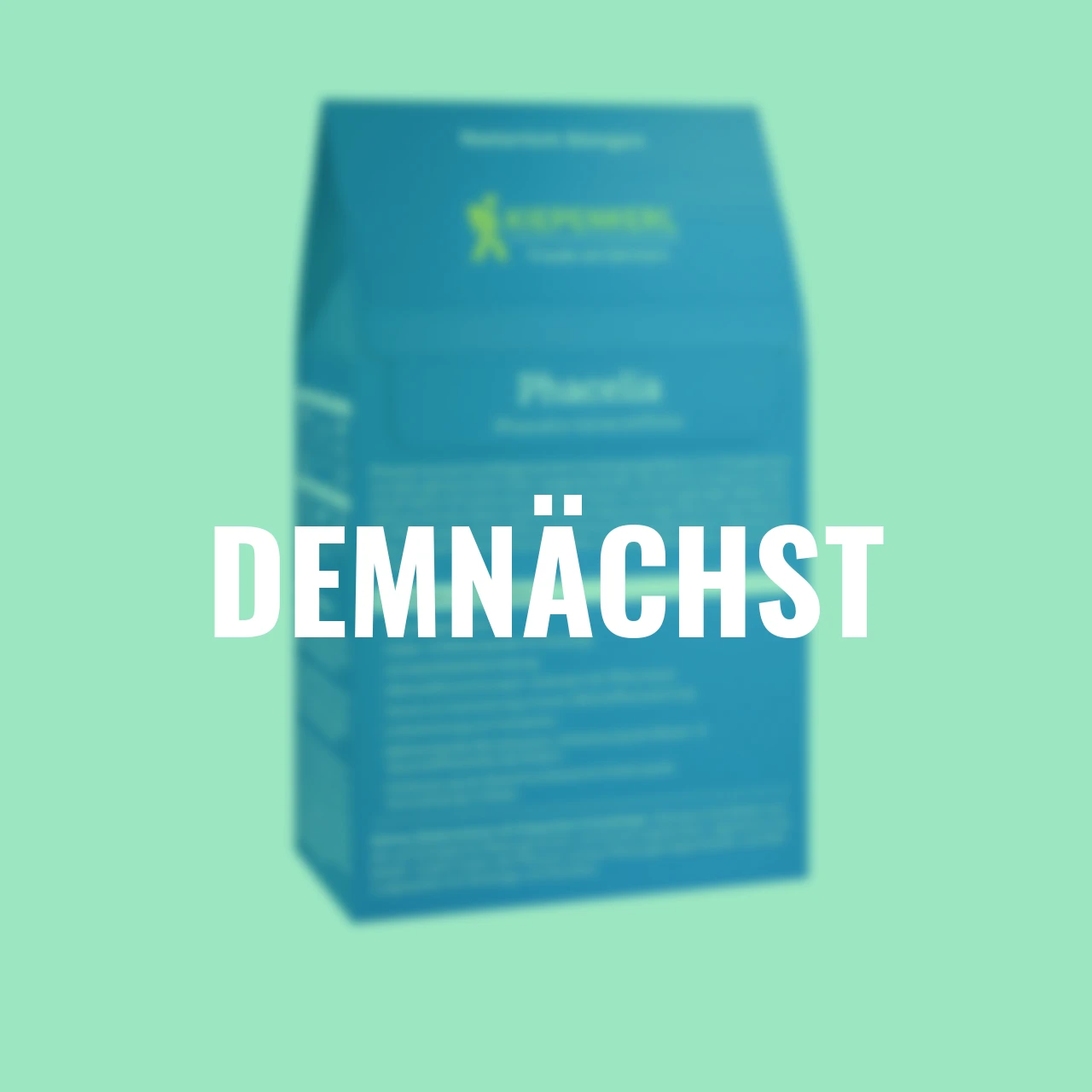 Bodenkur Phacelia, 400 g