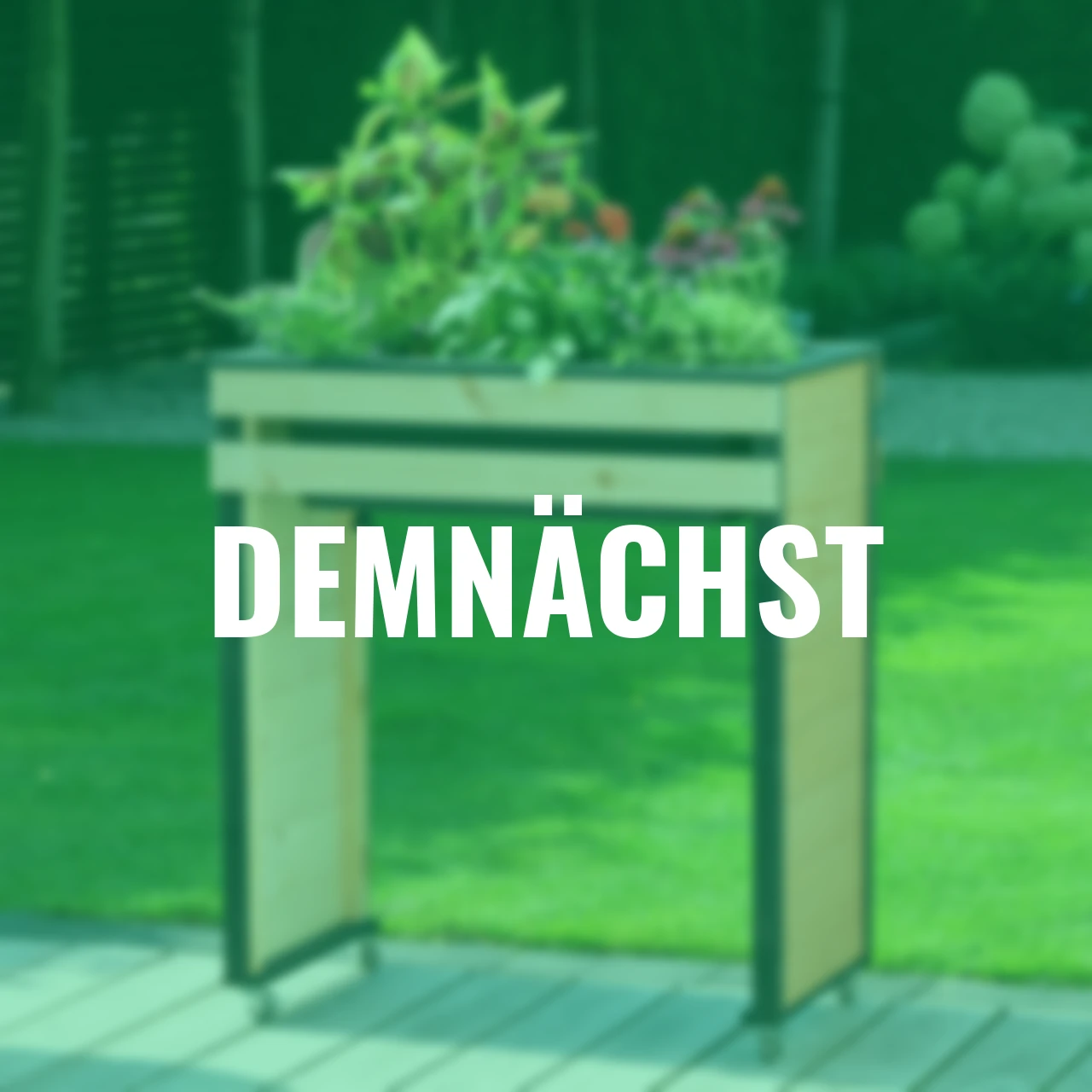 Hochbeet Wheely auf Rollen