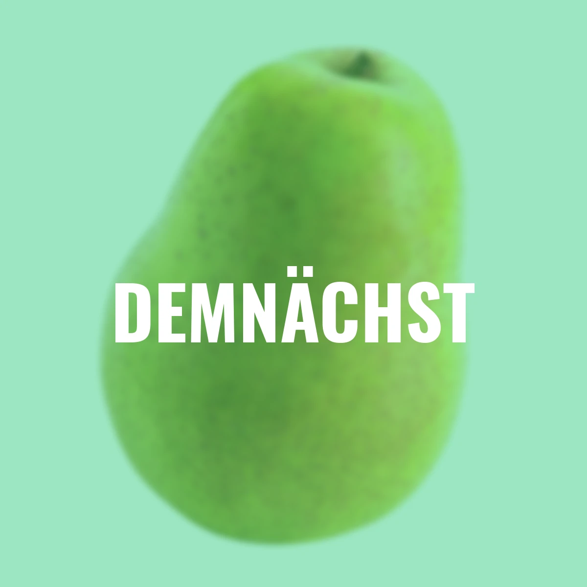 Zwergobst Birne Luisa