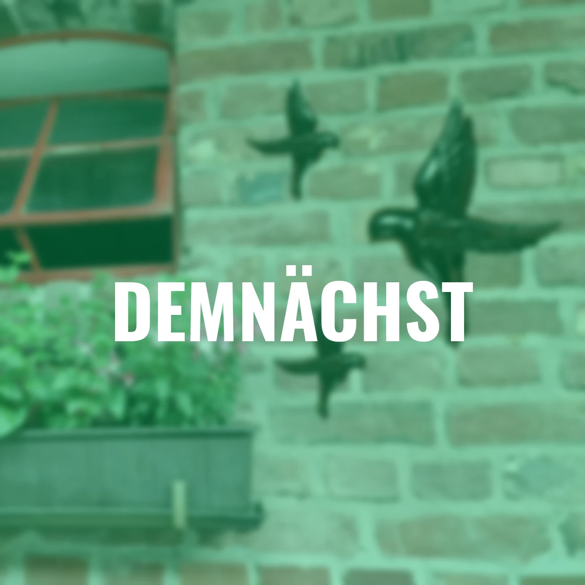 Deko-Vögel, 3er Set, schwarz