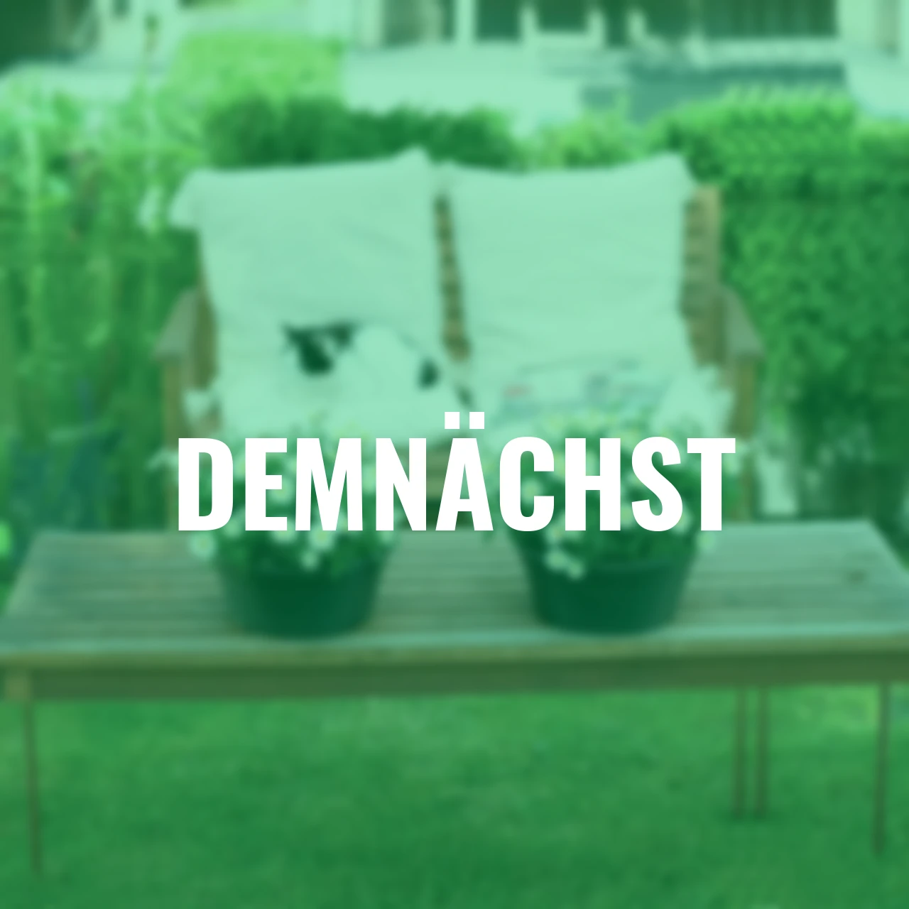 Pflanzschale Green Basics 27 cm anthrazit