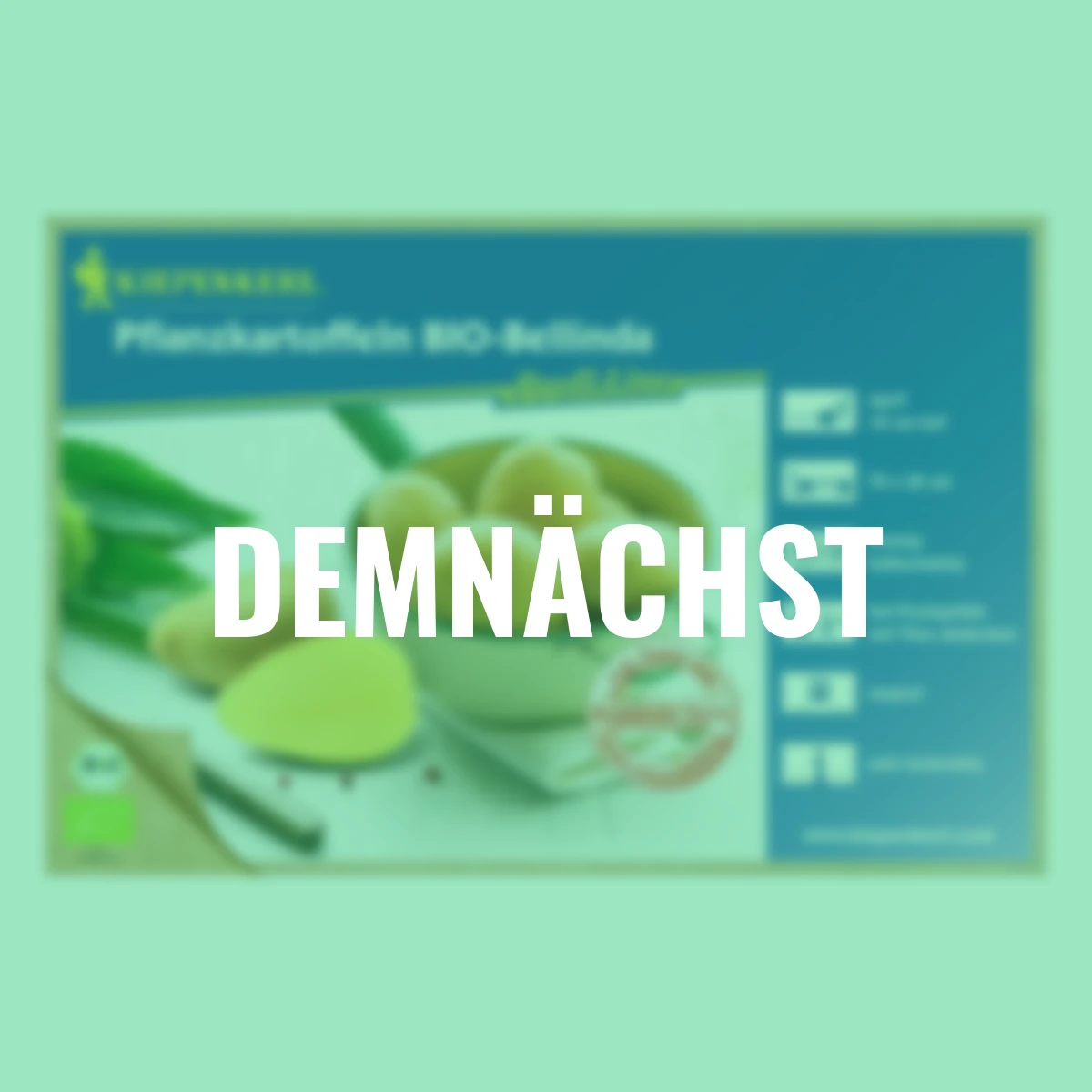 BIO Kartoffel Bellinda, 10 Stück