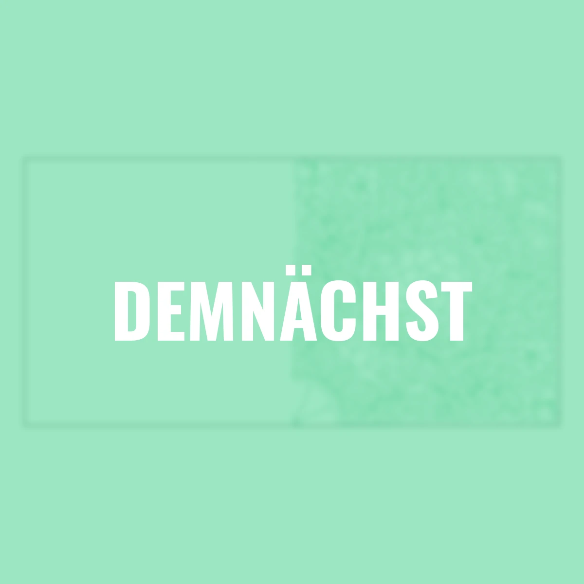 Colorful Moments - Botanicals