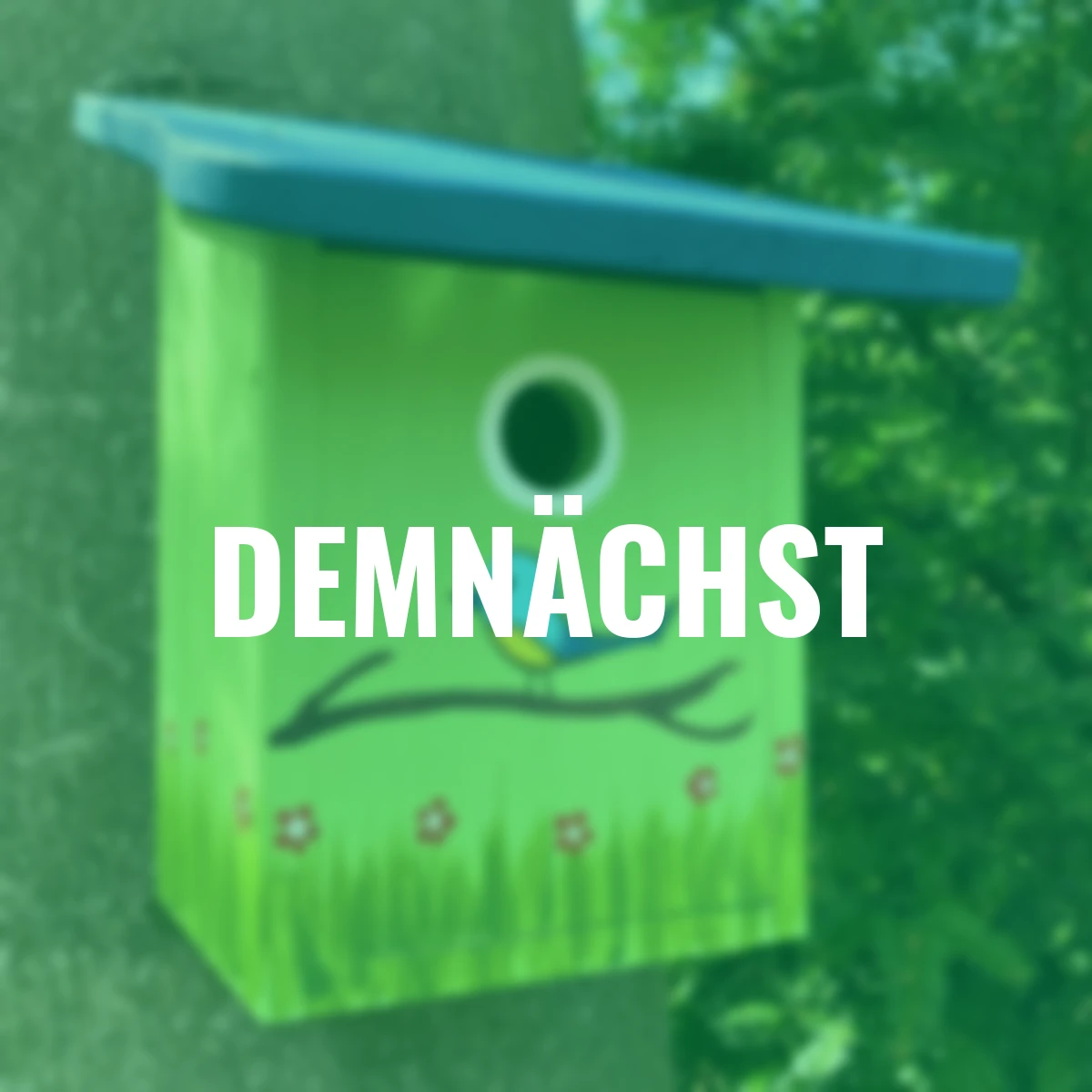 Nistkasten Blaumeisenparadies