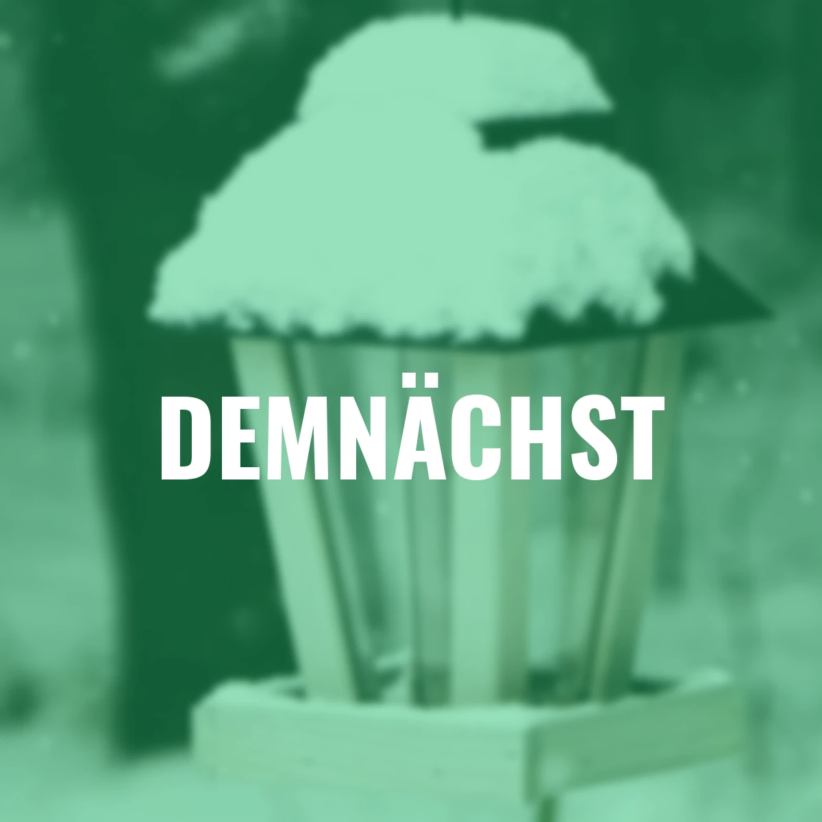 Futterstelle Plexi XL, 18,5x18,5x27 cm