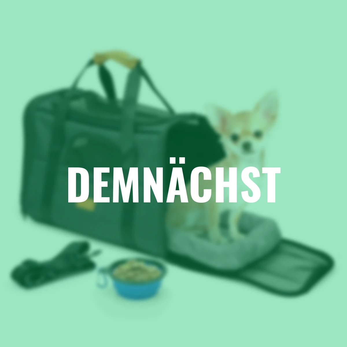 Reisetasche für Hund und Katze bis 5 kg, schwarz, 44x31x34 cm