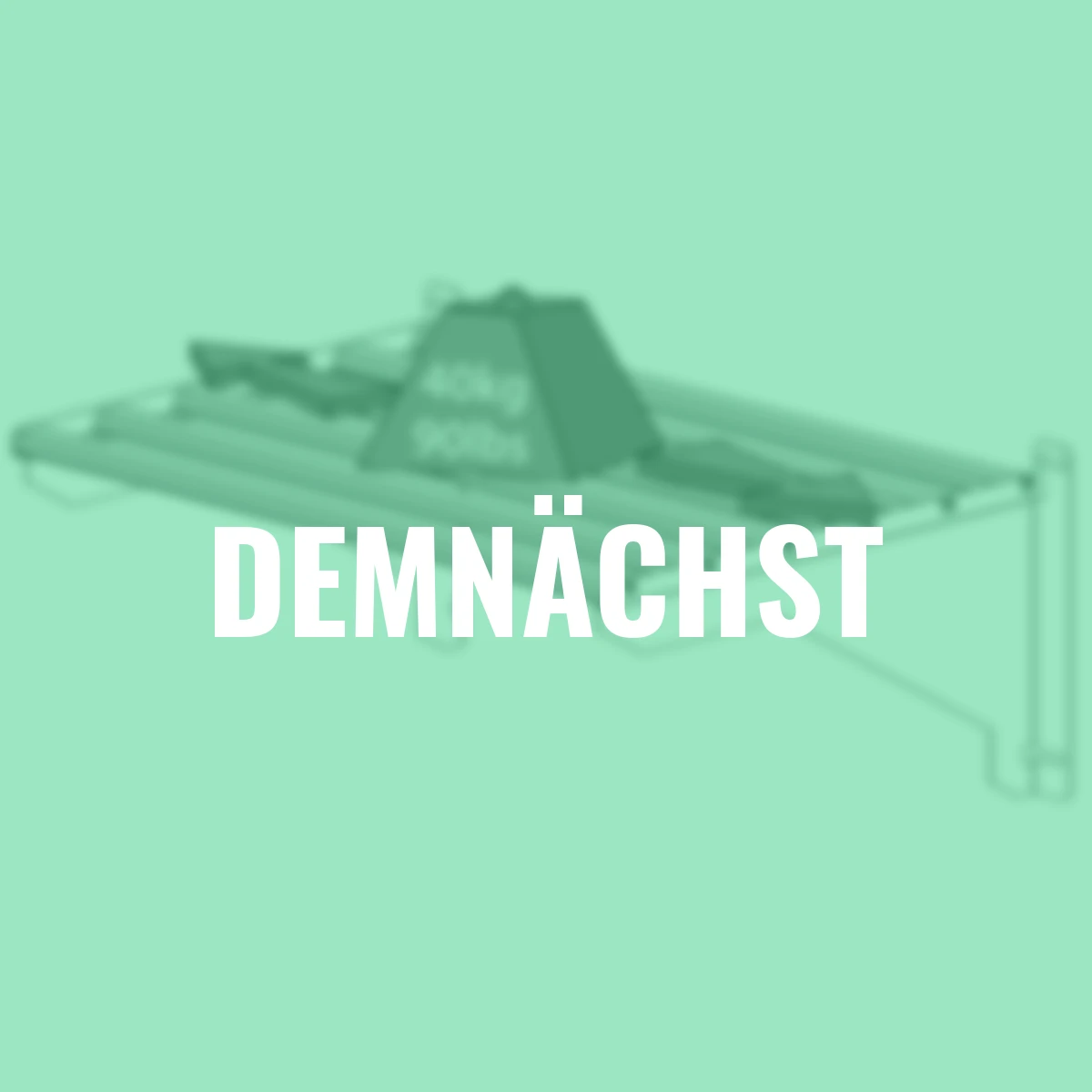 Aluminium Gewächshausregal mit 3 Clips, 58 x 42 x 20 cm, silber