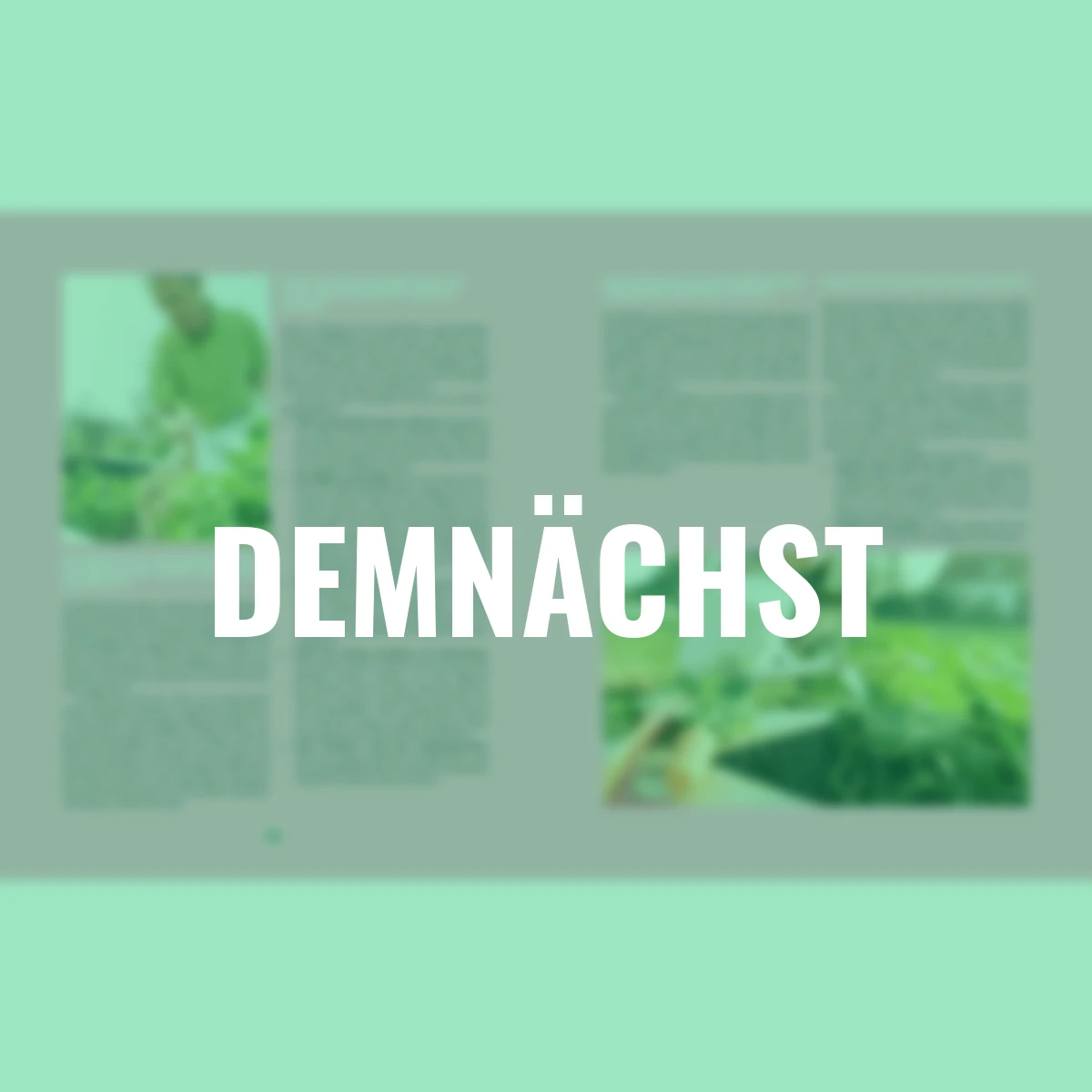 Das große Hochbeet-Buch