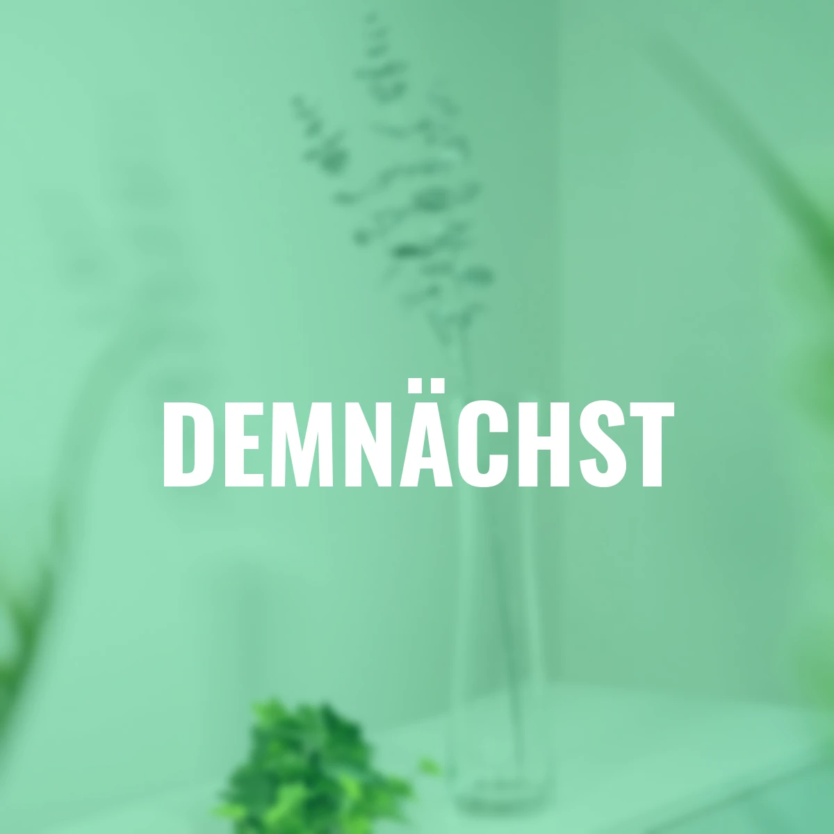 Kunstpflanze Eukalyptuszweig, silber