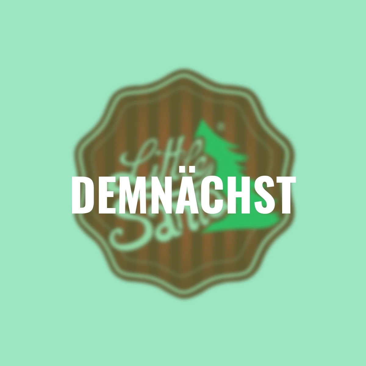 Zwergfichte Little Santa®