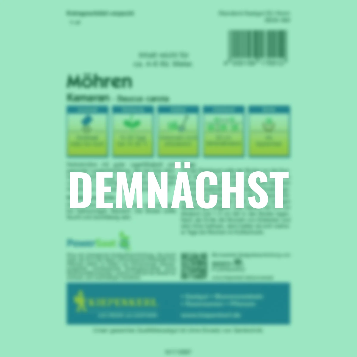 Möhren Kamaran PowerSaat