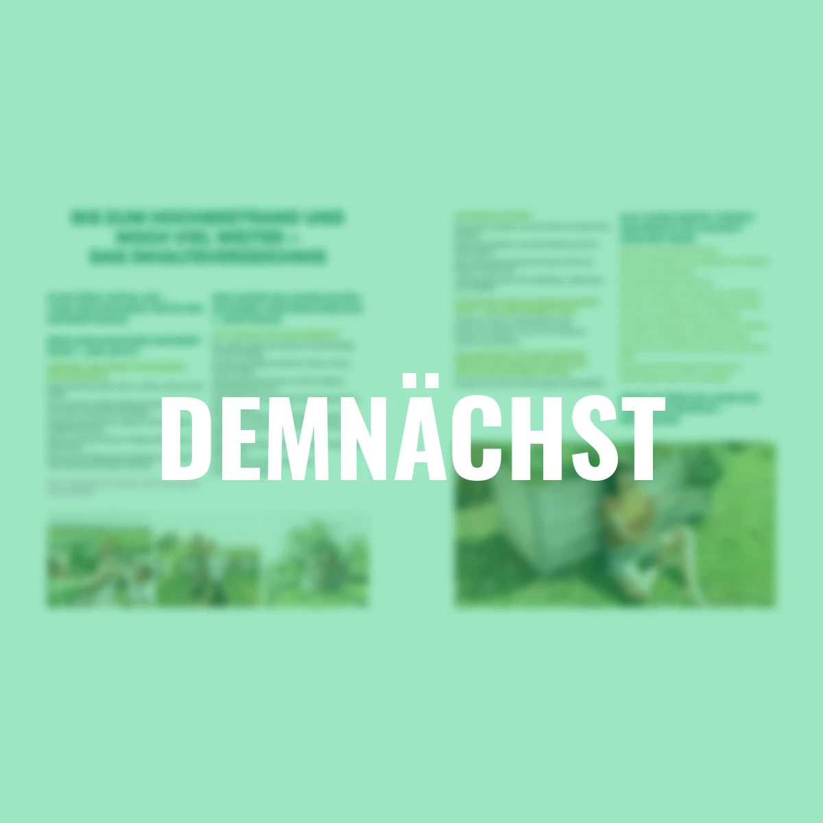 Das große Hochbeet-Buch