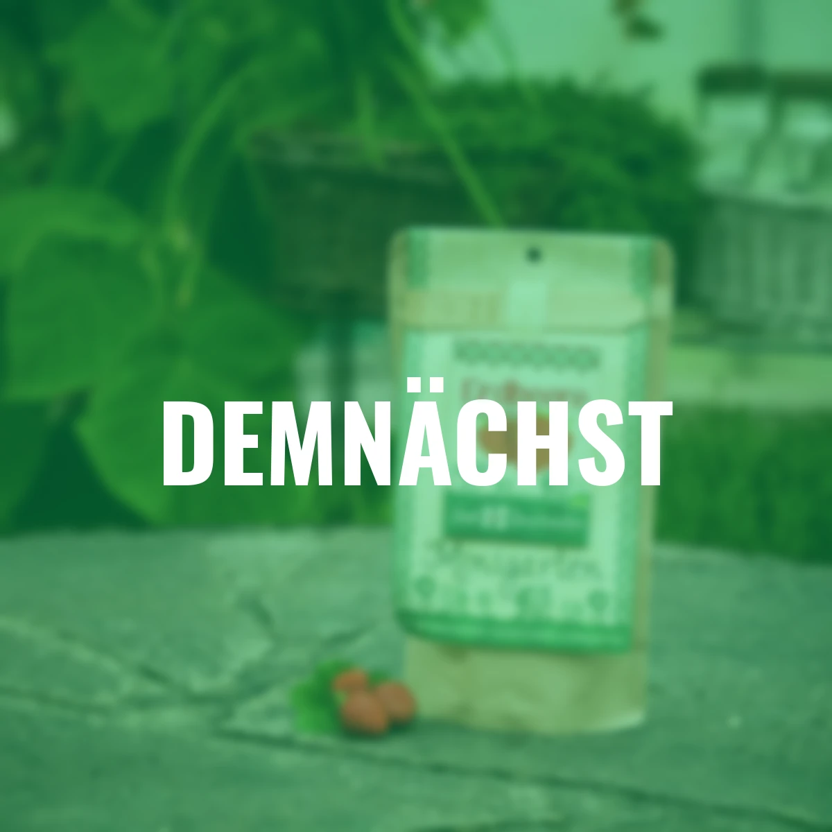 Minigarten - Erdbeere Tubby Red