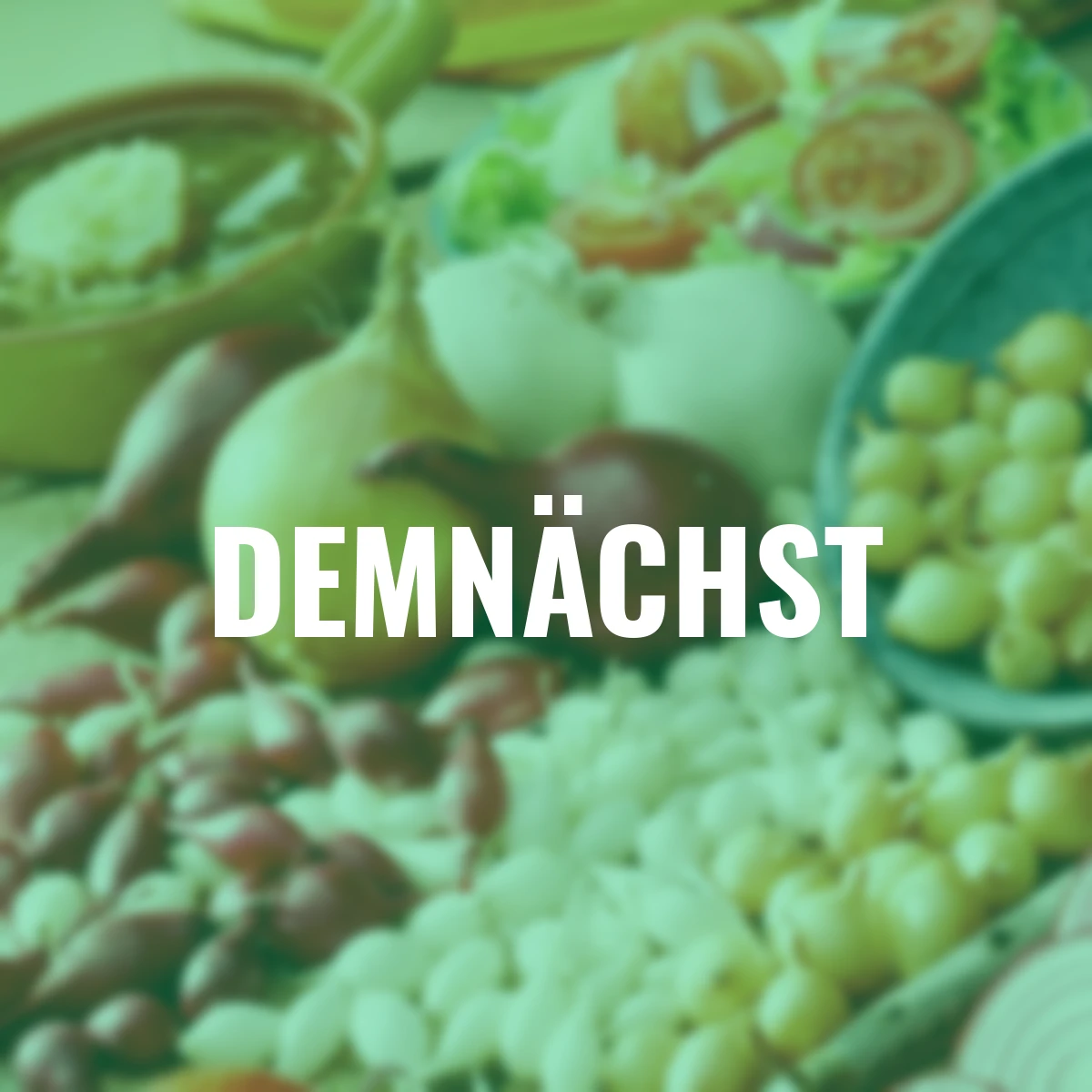 Steckzwiebel-Set Tricolor