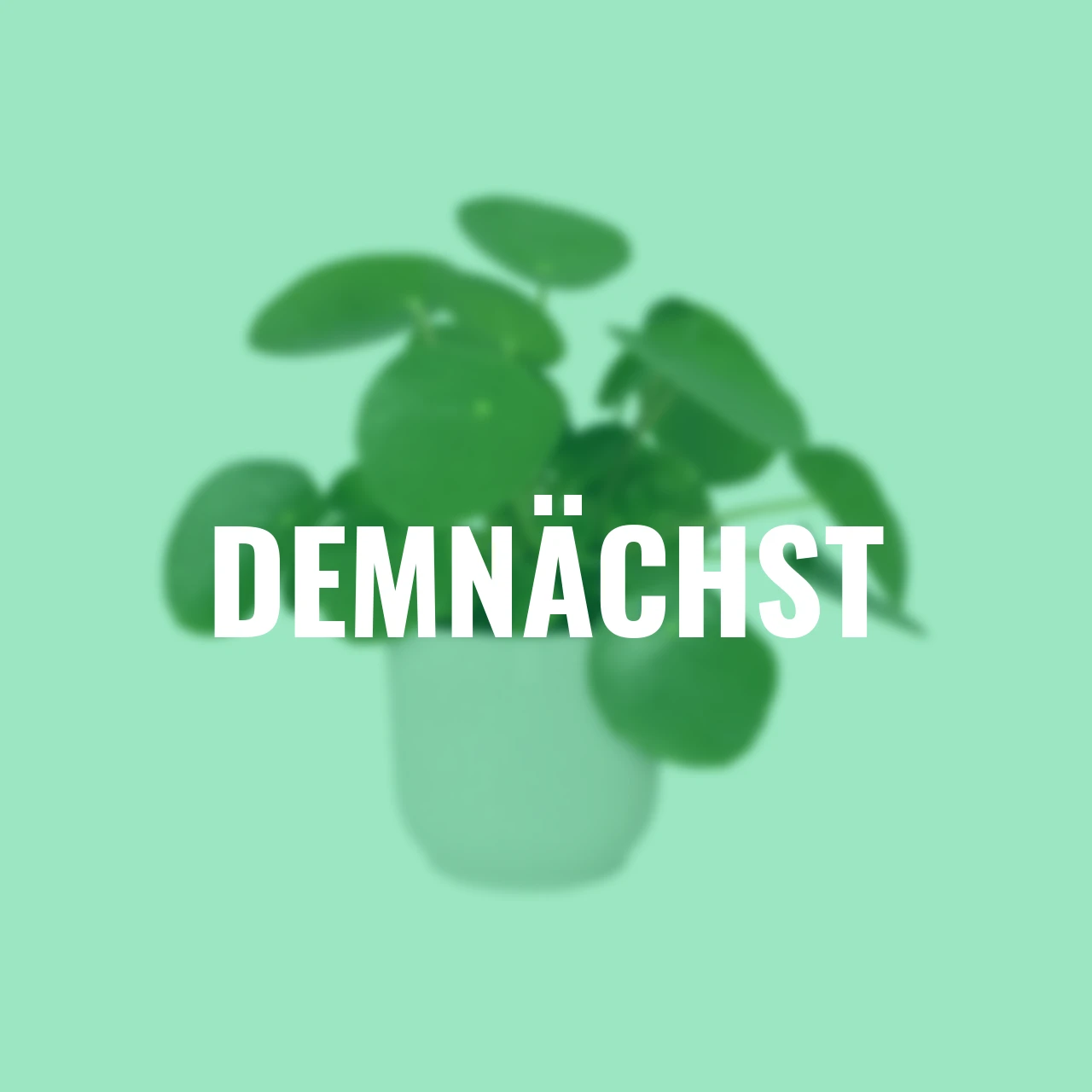 Übertopf Vibes Fold 25 cm weiß