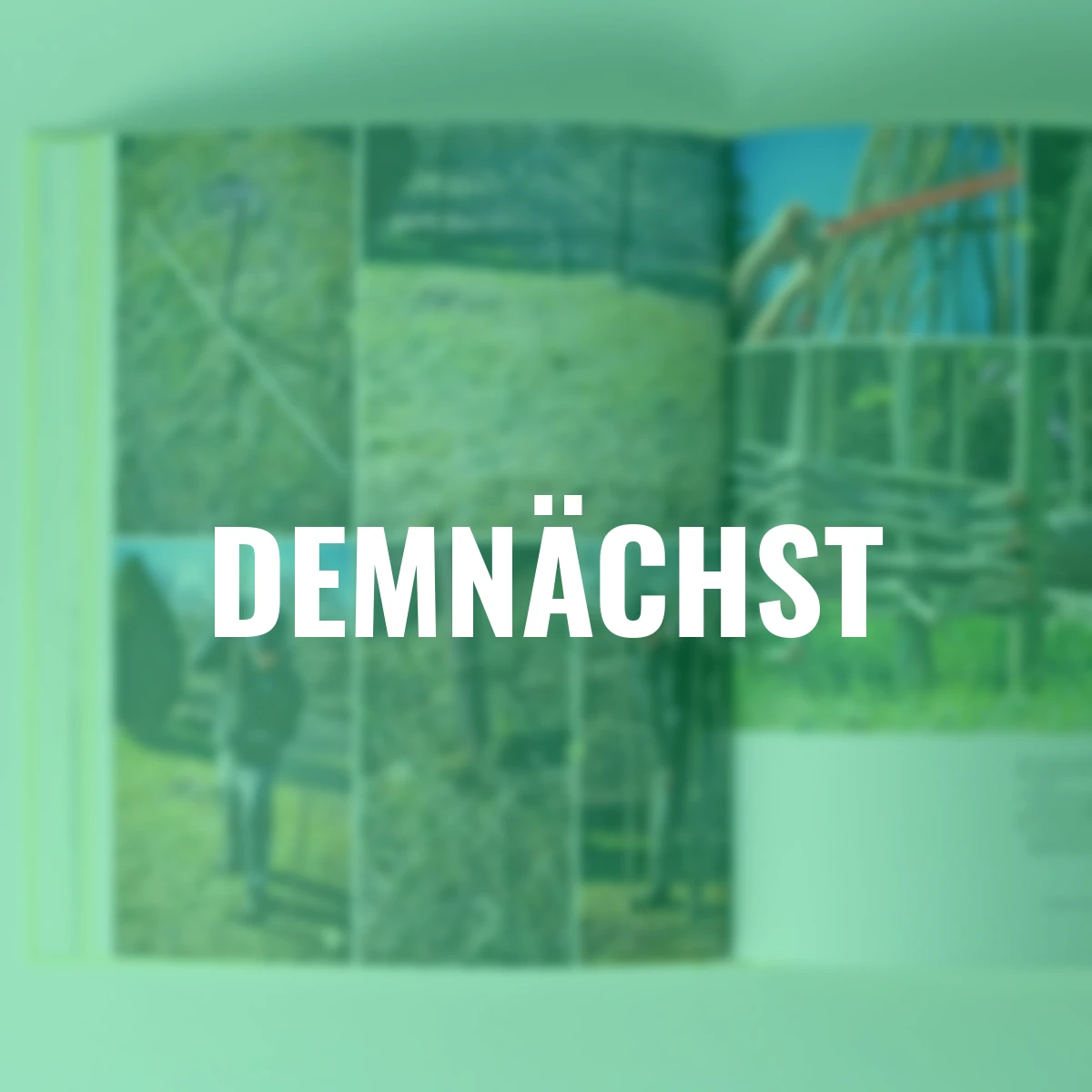 Projekte zum Anpacken