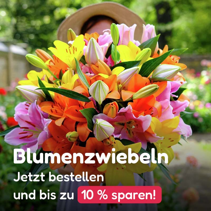 Blumenzwiebeln