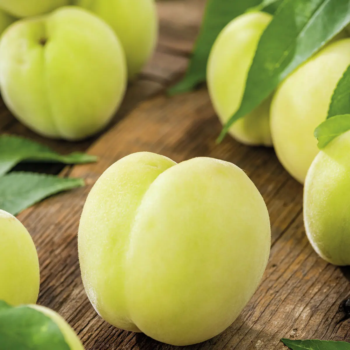 Weißer Pfirsich Fruit Me® Icepeach®