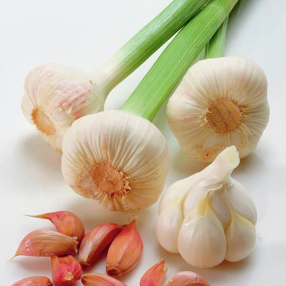 Knoblauch Flavor, 250 g