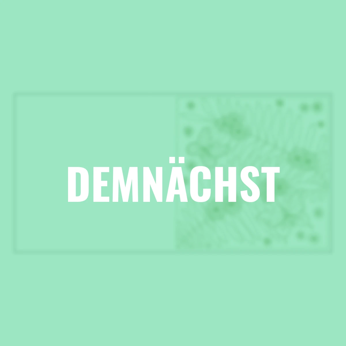 Colorful Moments - Botanicals