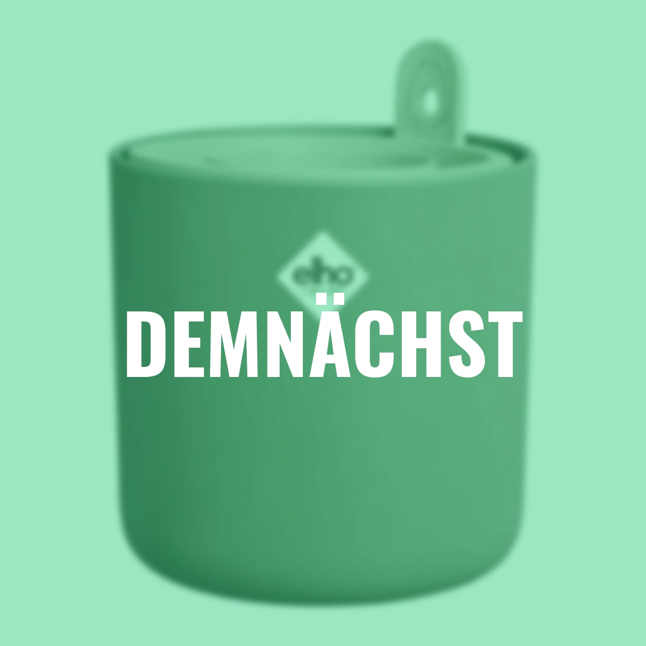 Avocado-Topf Amazing Avocado 12 cm grün