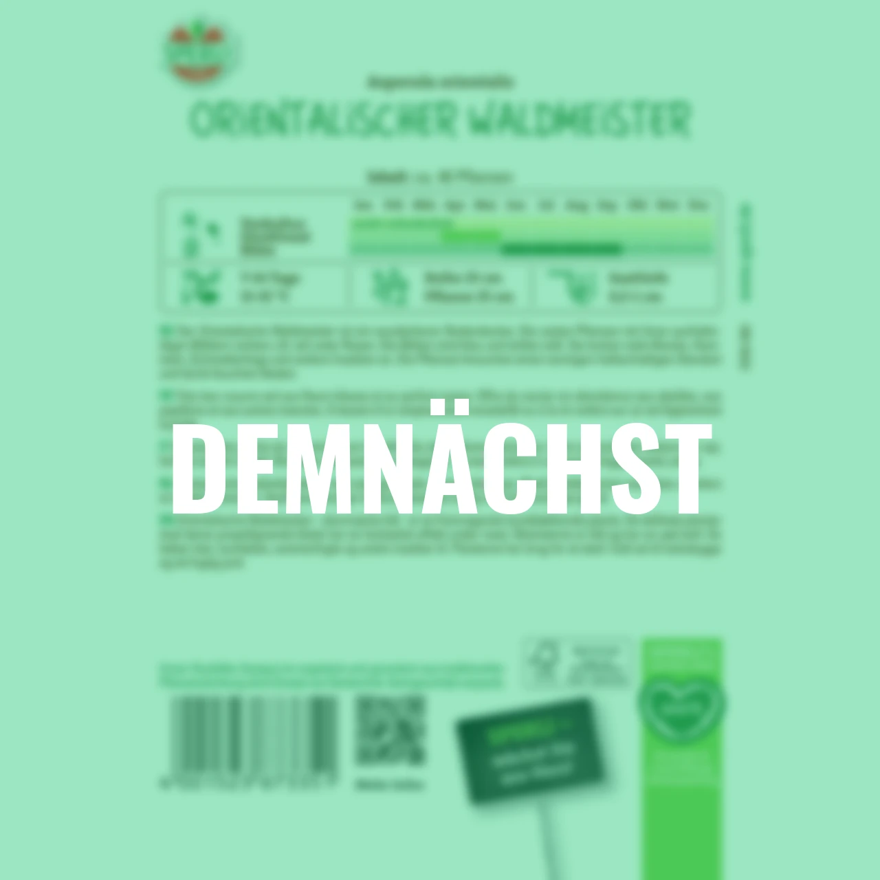 Orientalischer Waldmeistersamen