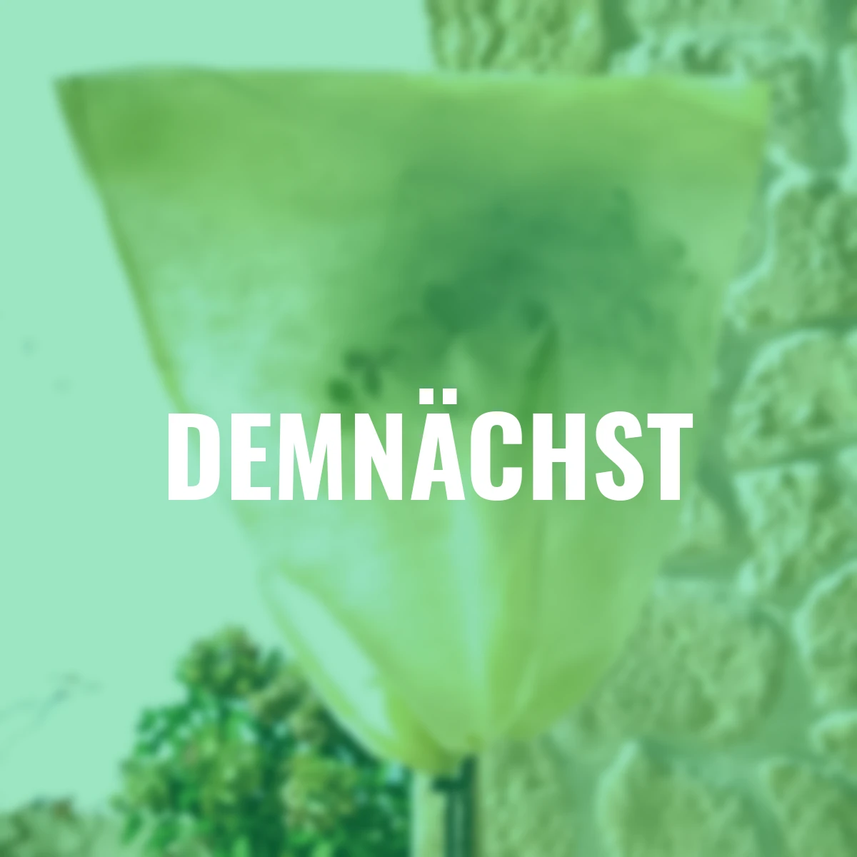 Winterschutz Sack, 250x350cm