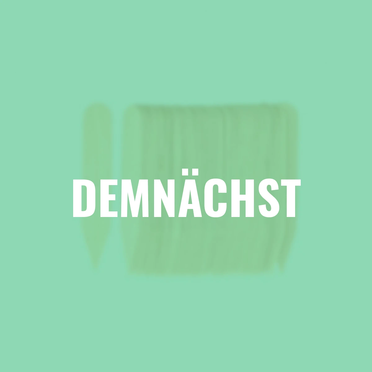 Birkenholz-Stecketikett