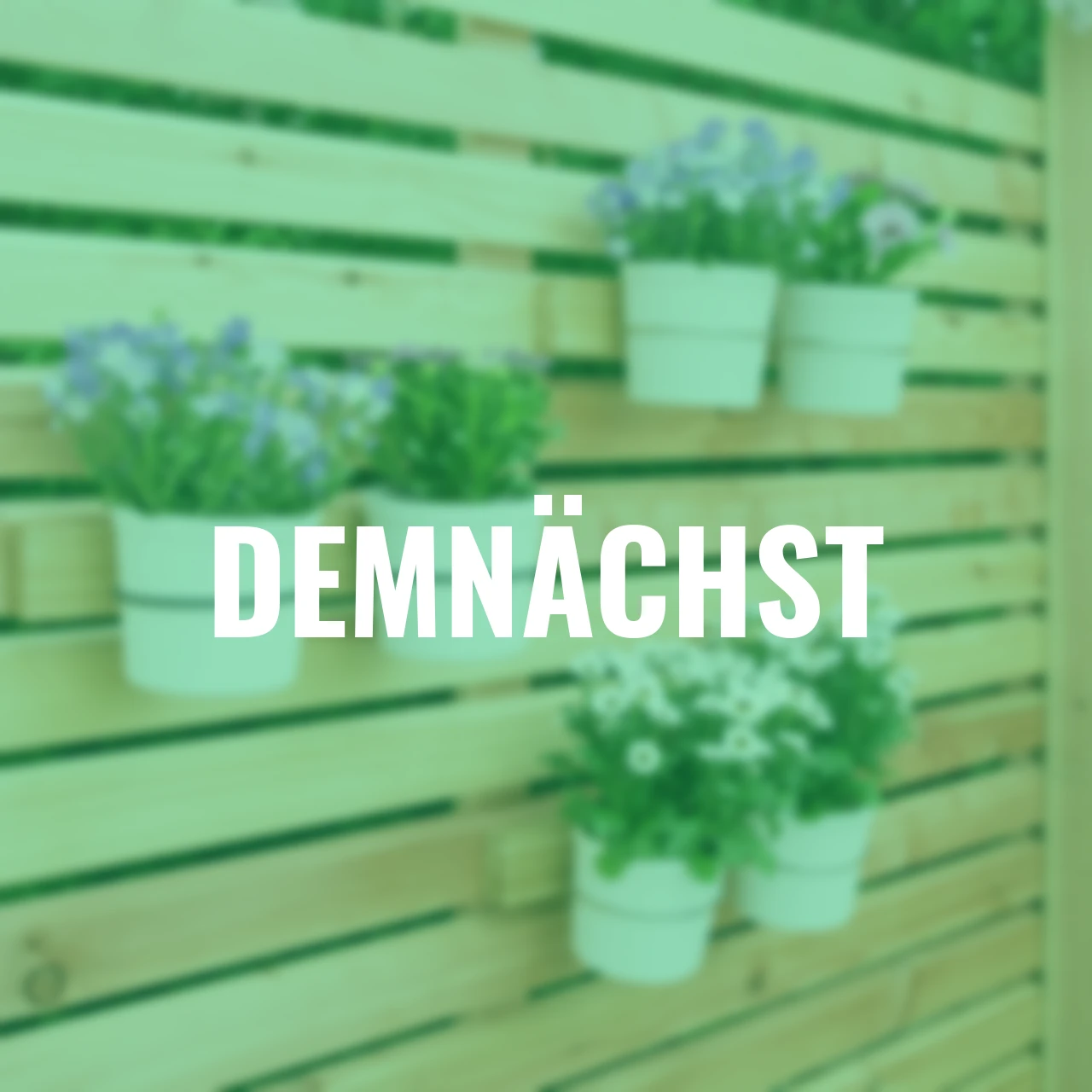 Kräuter-/ Blumenbalkon Halterung FLORES