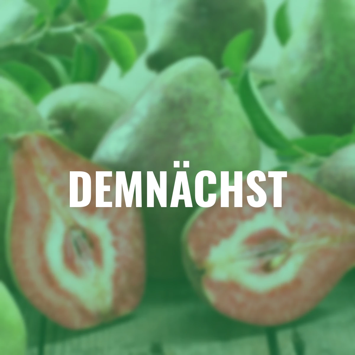 Rotfleischige Birne Vampira