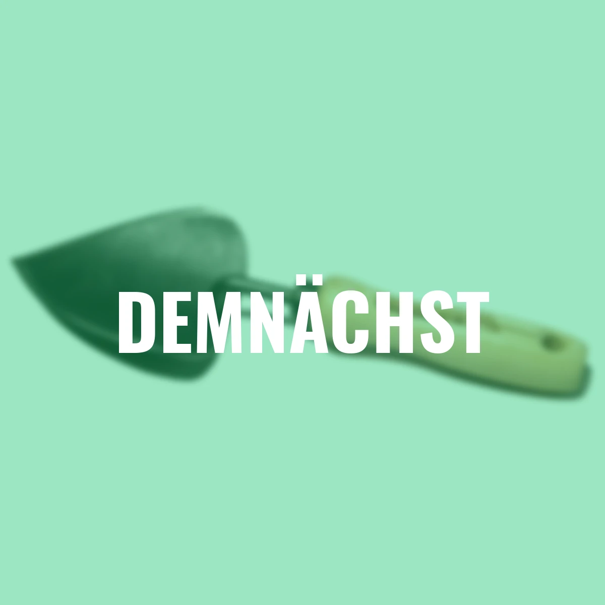 Hand-Pflanzkelle in Herzform, 28 cm