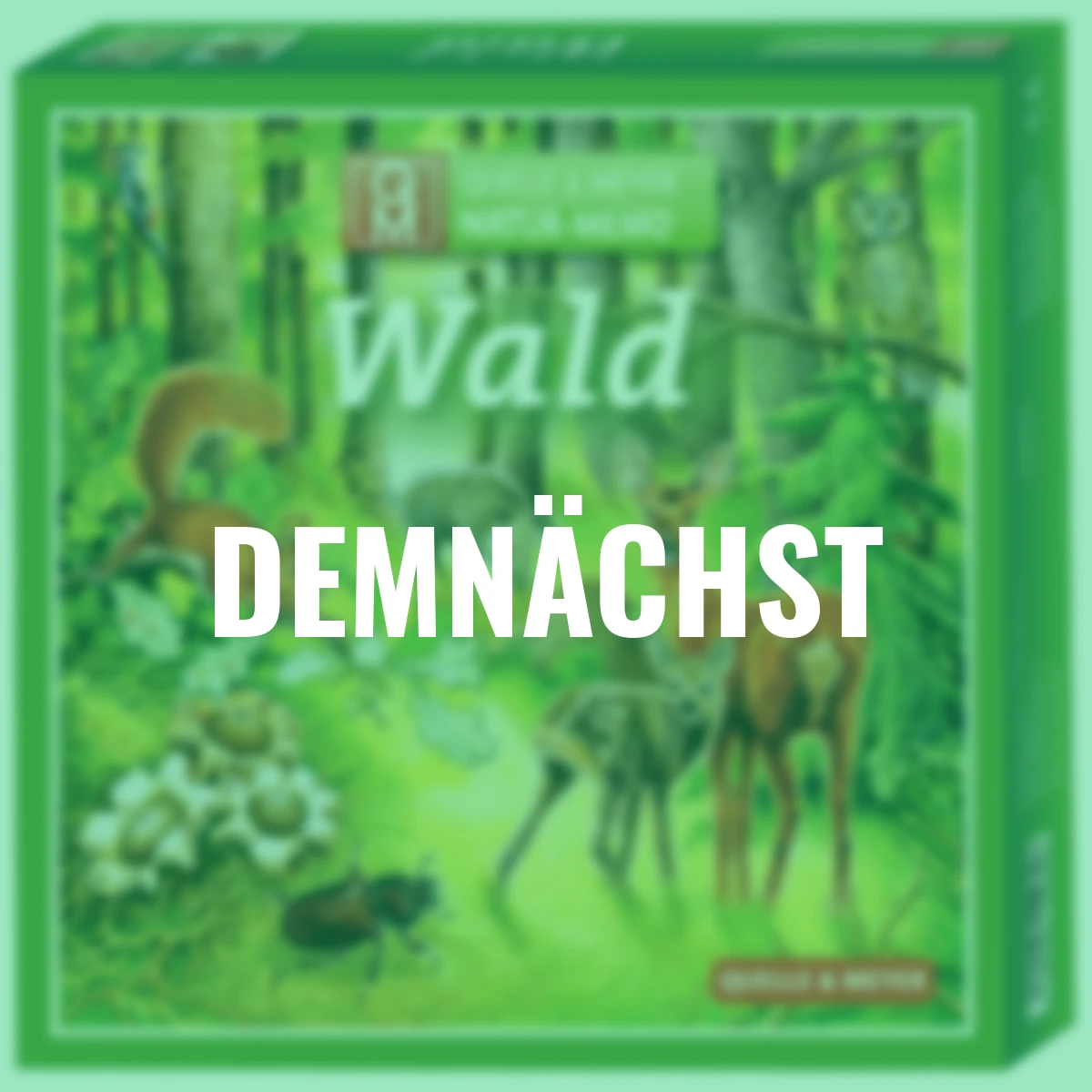 Natur-Memo Wald
