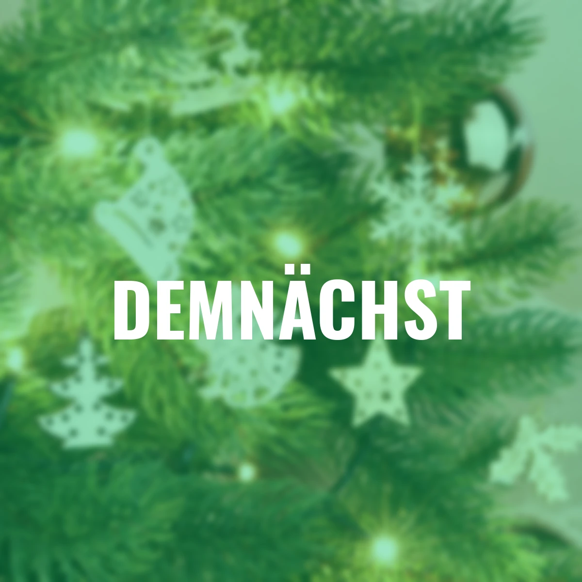 Holz-Aufhänger, 48er-Set