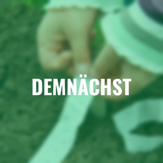 Saatband-Set Gemüse, 5 x 6 m