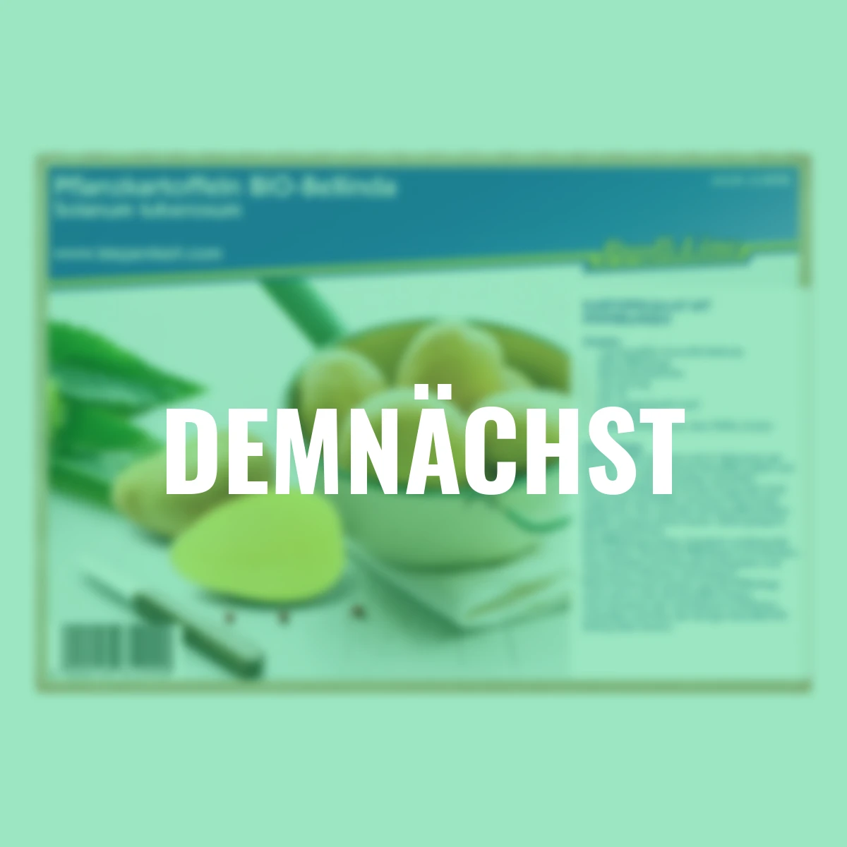 BIO Kartoffel Bellinda, 10 Stück