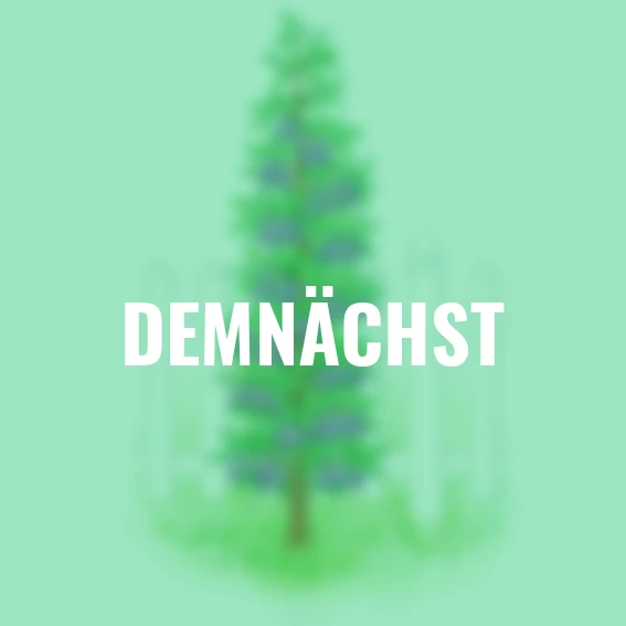 Blaue Säulen-Pflaume