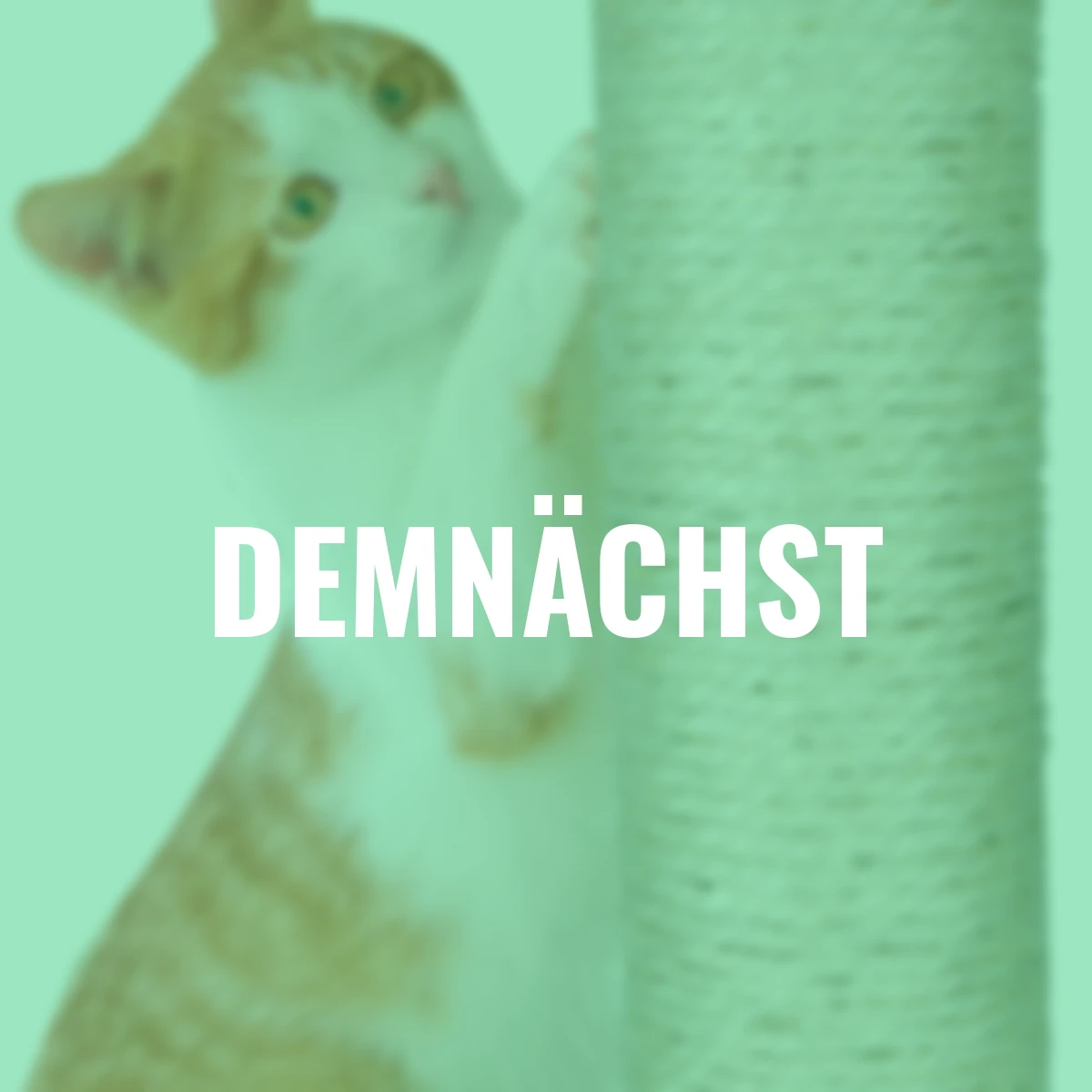 Katzenkratzbaum, grau, 62x40x40 cm