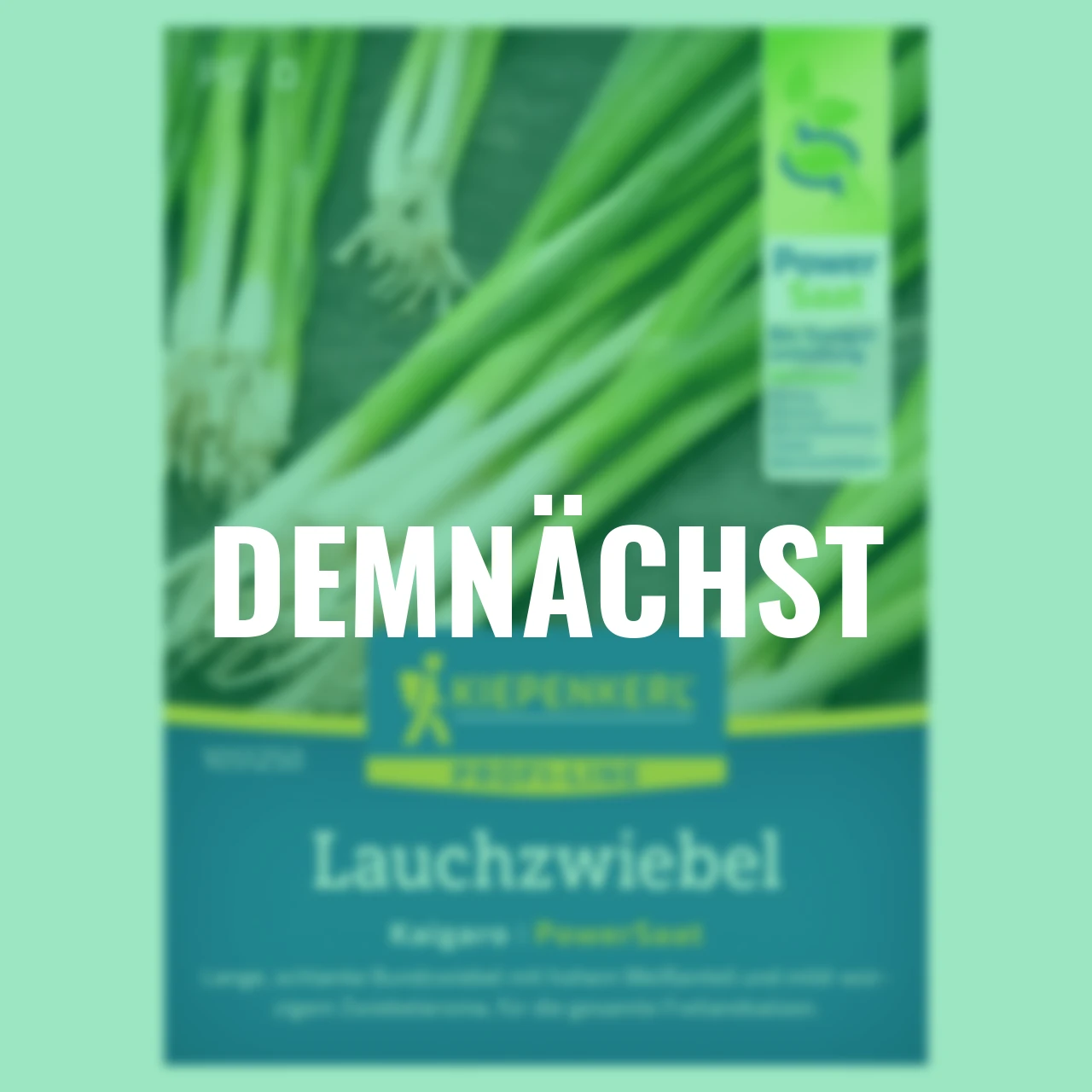 Lauchzwiebel Kaigaro PowerSaat