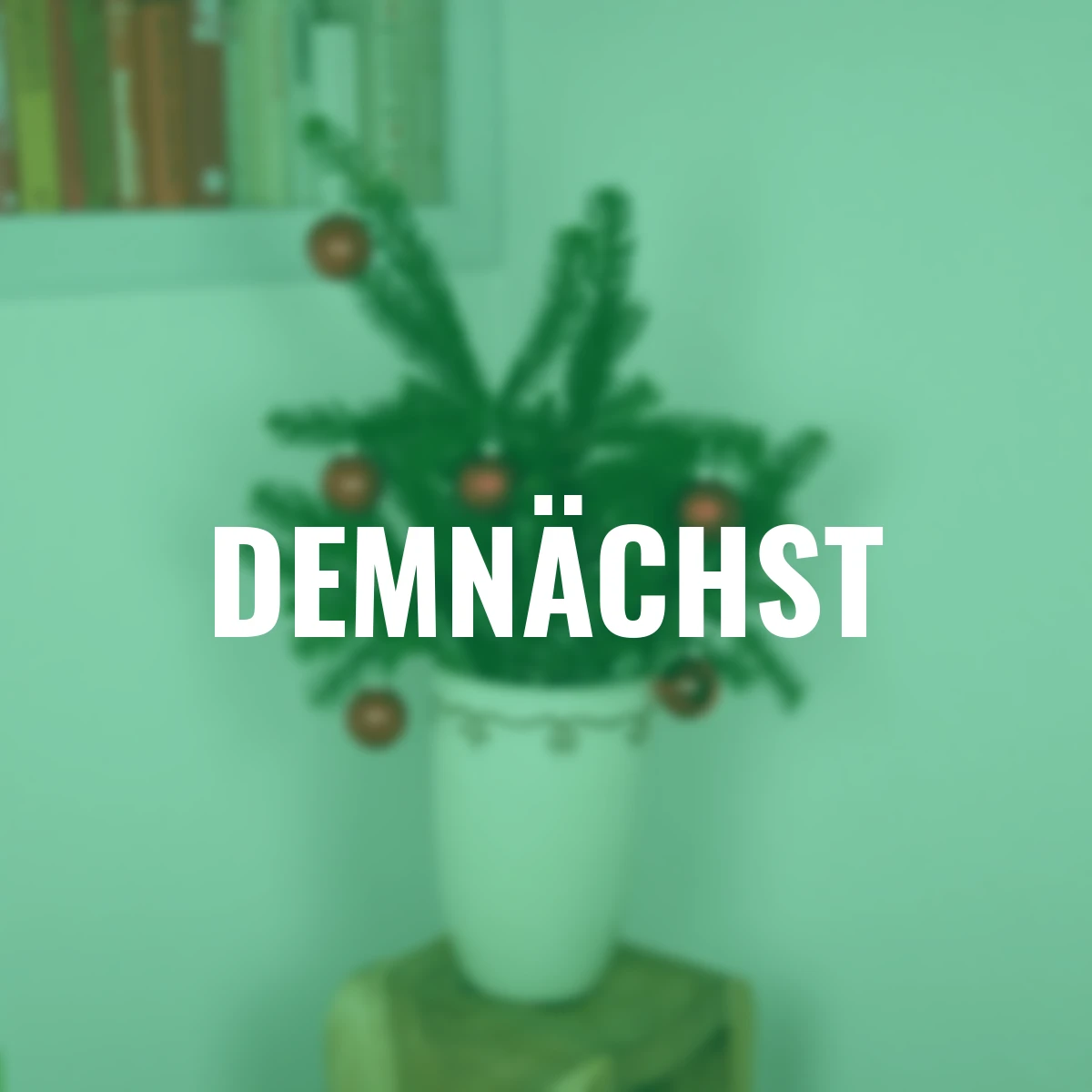 Nordmann-Tanne, Bund 500 g