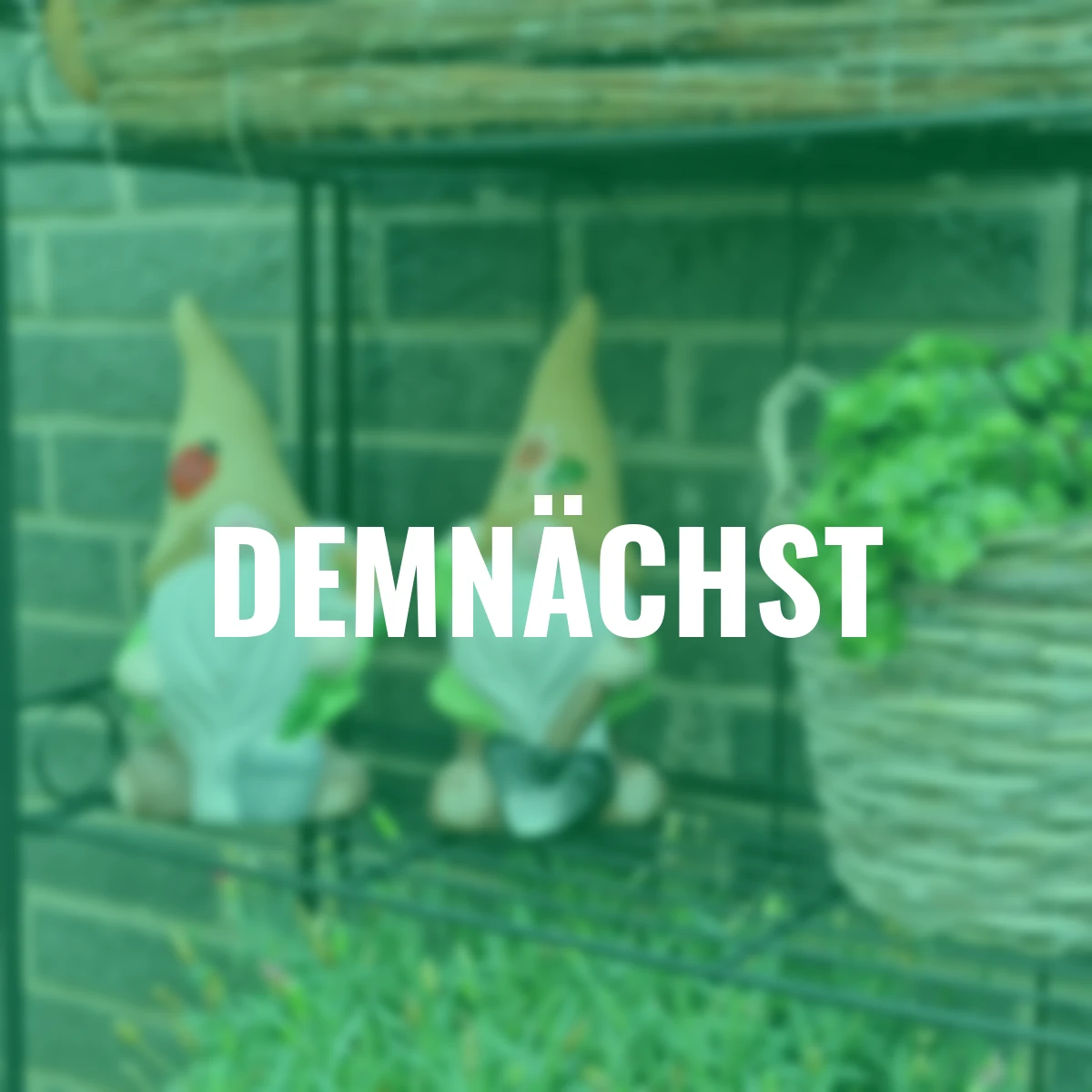 Wichtel mit Blütenmütze, 2er Set, 23,5 cm