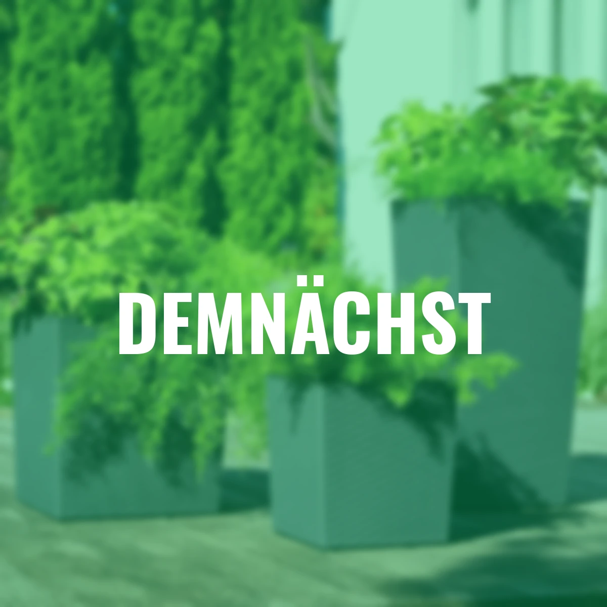 Pflanzgefäß Paris, 30x30x57 cm