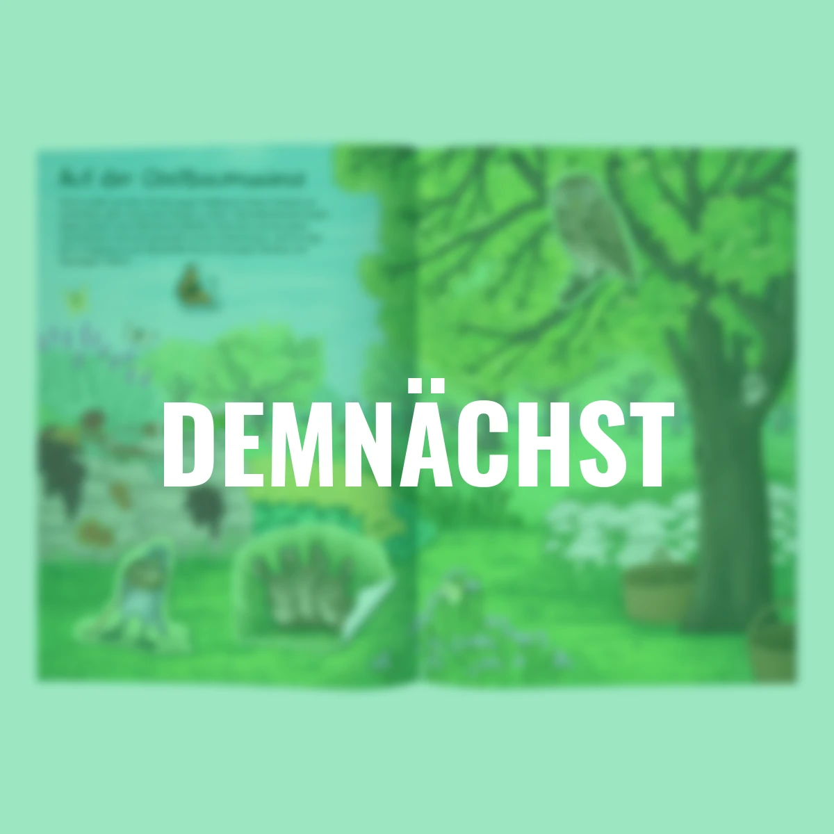 Natur-Stickerwelt: Tiere in Wald & Wiese (Nature Zoom)