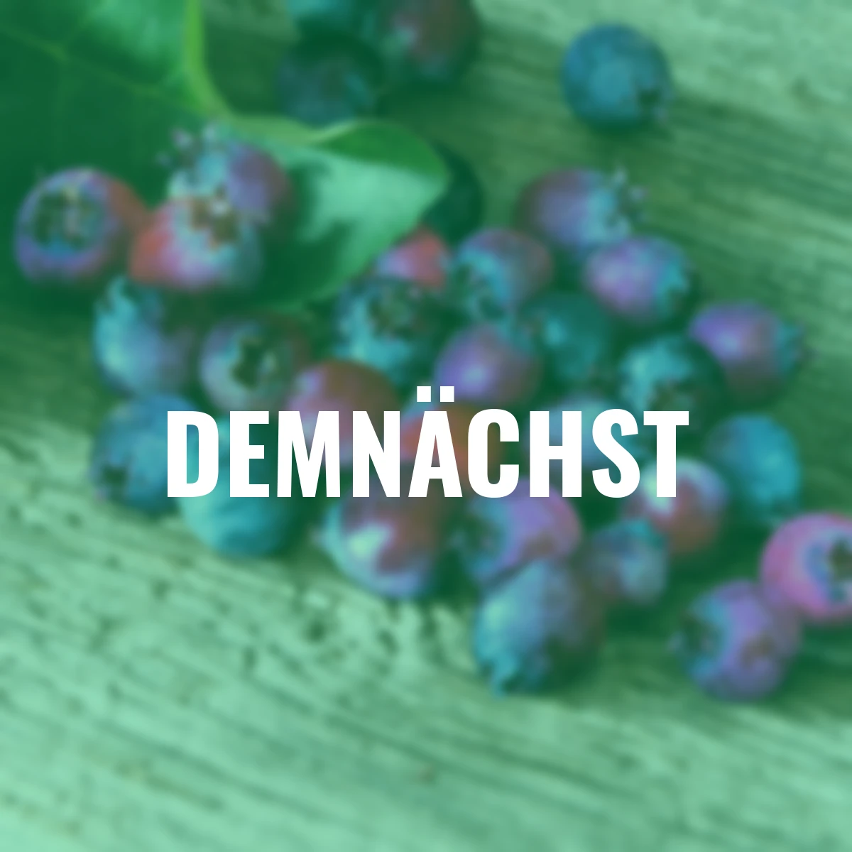 Saskatoonbeere Saskatoon Berry®