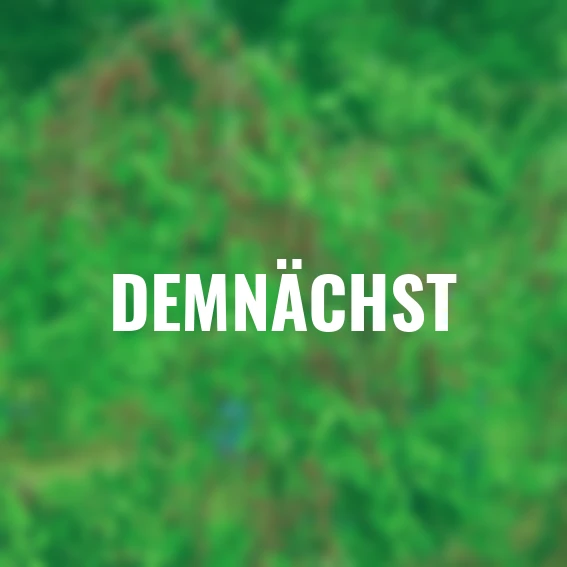 Zwerg-Schattenmorelle Kobold®