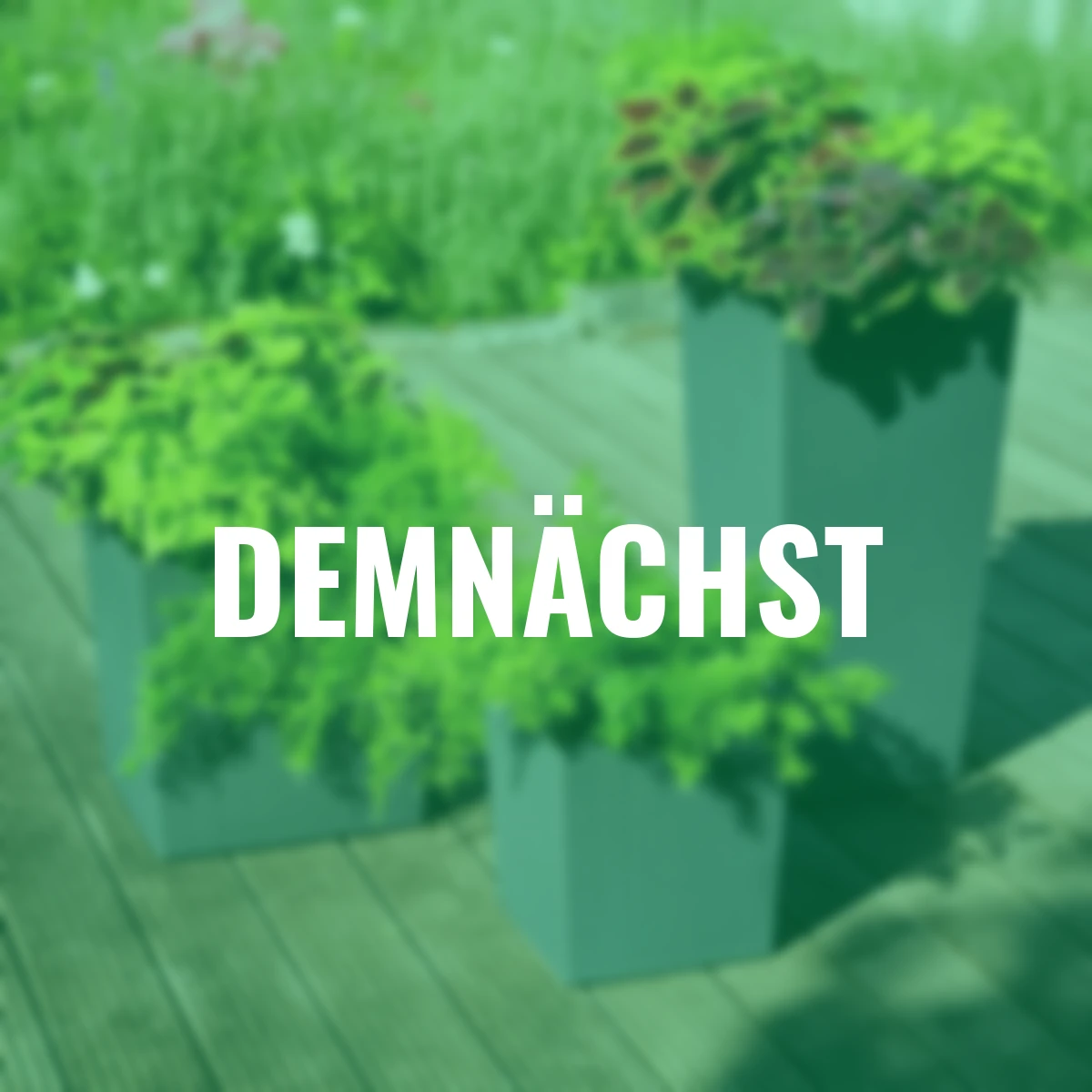 Pflanzgefäß Paris, 30x30x57 cm