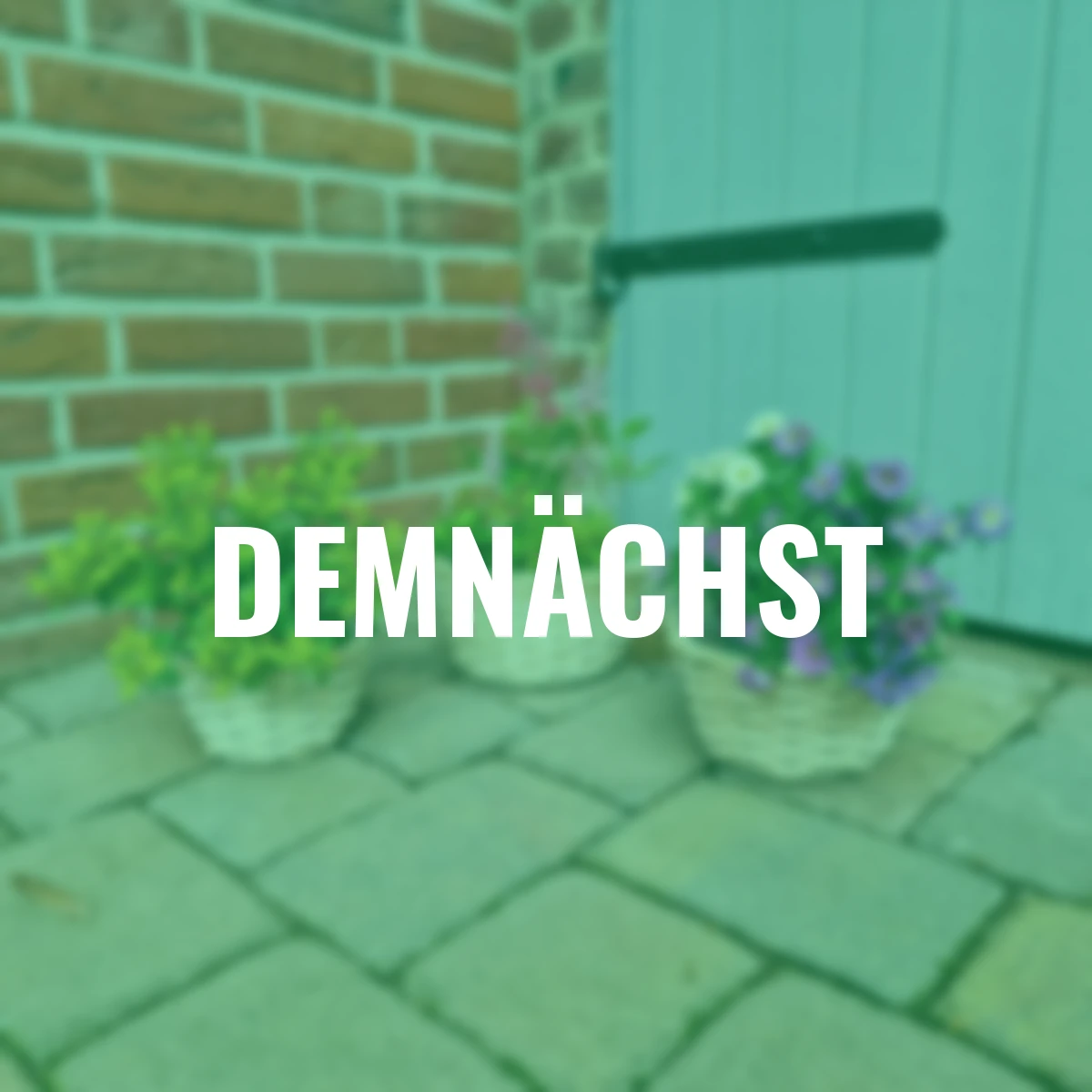 Holzspan-Korb, 3er-Set, rund, natur