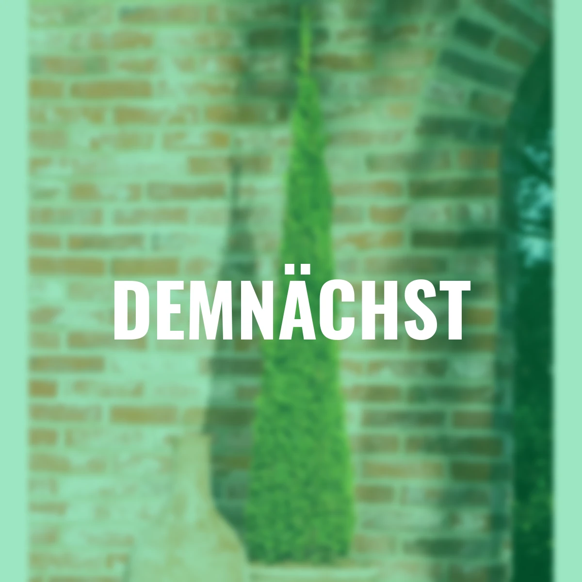 Lebensbaum Smaragd Torwächter