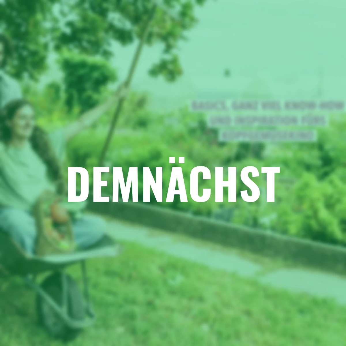 Das phänomenale Erntebeet